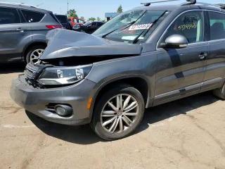 2013 Volkswagen Tiguan S VIN: WVGBV7AXXDW007406 Lot: 53743463