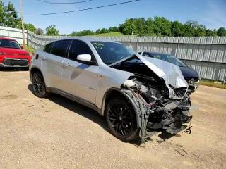 2013 BMW X6 xDrive35I VIN: 5UXFG2C51DL787391 Lot: 51078943