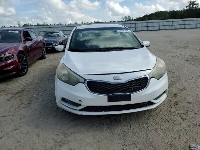 2014 Kia Forte Lx VIN: KNAFX4A62E5075046 Lot: 74007614