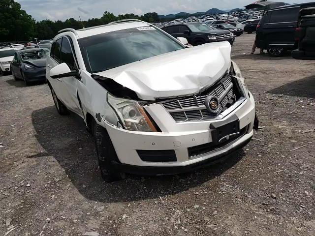 2011 Cadillac Srx Luxury Collection VIN: 3GYFNDEY5BS566274 Lot: 56252454