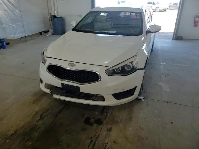 2014 Kia Cadenza Premium VIN: KNALN4D74E5137883 Lot: 55972955