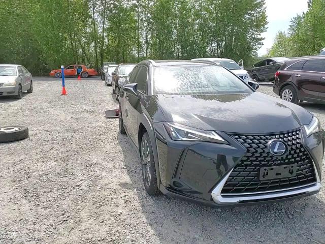 2020 Lexus Ux 250H VIN: JTHP9JBH6L2032942 Lot: 56675505