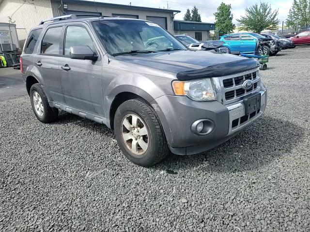 2011 Ford Escape Limited VIN: 1FMCU0EG1BKB79062 Lot: 55967225