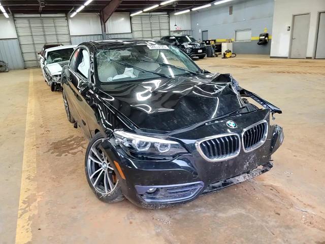 2018 BMW 230Xi VIN: WBA2J3C5XJVD48455 Lot: 58833125