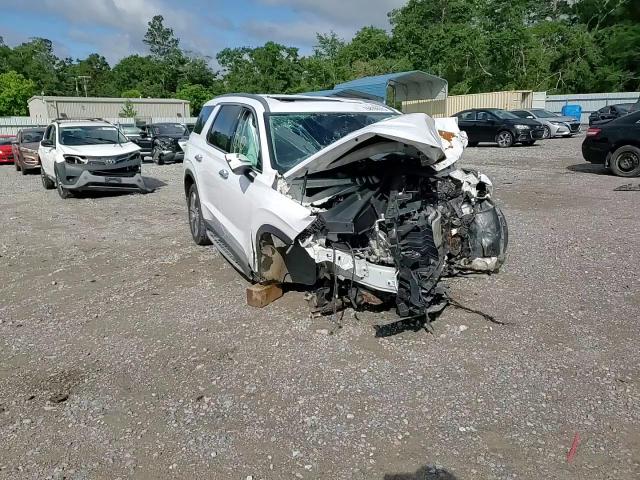 2020 Hyundai Palisade Sel VIN: KM8R44HE8LU063343 Lot: 58798975