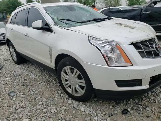 2011 Cadillac Srx Luxury Collection VIN: 3GYFNDEY5BS532061 Lot: 56624225