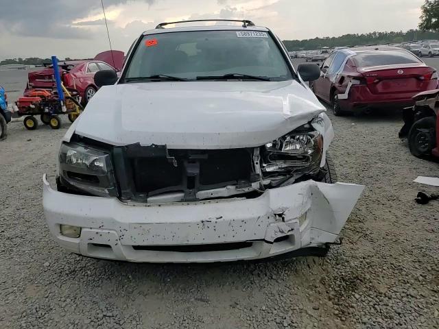 2008 Chevrolet Trailblazer Ls VIN: 1GNDS13SX82134228 Lot: 58971235
