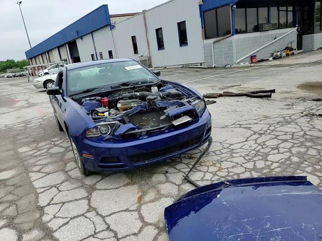 2013 Ford Mustang VIN: 1ZVBP8AM1D5215834 Lot: 56864785
