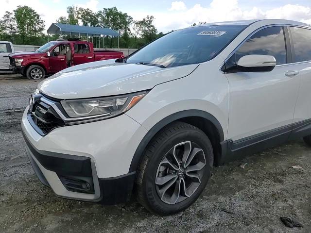 2020 Honda Cr-V Exl VIN: 7FARW2H80LE004541 Lot: 56593935