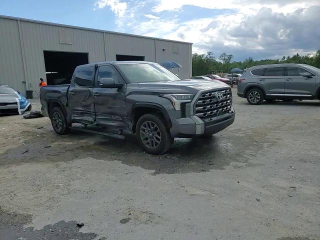 2025 Toyota Tundra Crewmax Platinum VIN: 5TFNA5DBXSX279690 Lot: 56982785