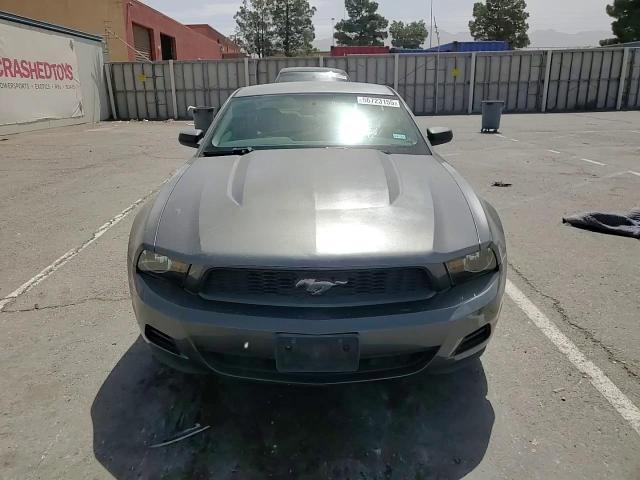 2010 Ford Mustang VIN: 1ZVBP8AN8A5126198 Lot: 56723155