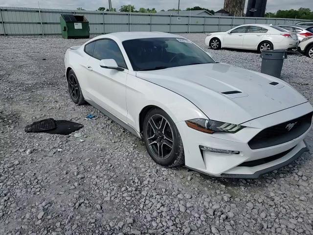 2019 Ford Mustang VIN: 1FA6P8TH0K5162129 Lot: 56597155