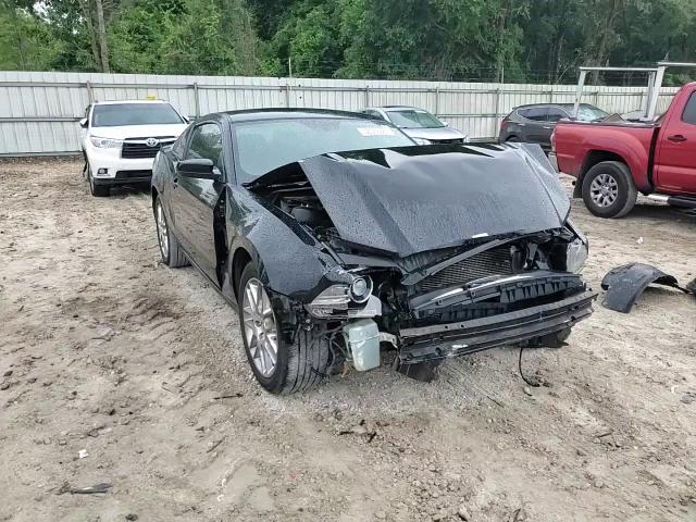 2013 Ford Mustang VIN: 1ZVBP8AM7D5238969 Lot: 56053985