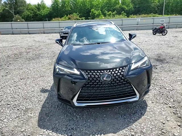 2019 Lexus Ux 200 VIN: JTHY3JBH3K2005427 Lot: 56240215