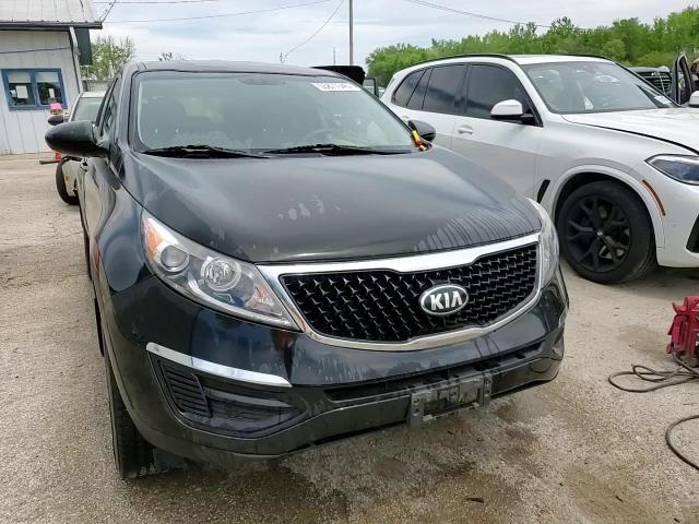 2014 Kia Sportage Base VIN: KNDPB3AC2E7569546 Lot: 55877345