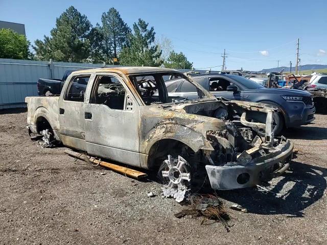 2014 Ford F150 Supercrew VIN: 1FTFW1EF6EKF61262 Lot: 55066955