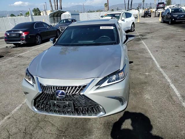 2020 Lexus Es 300H VIN: 58AD21B11LU006088 Lot: 56493525
