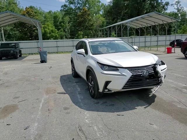 2019 Lexus Nx 300 Base VIN: JTJYARBZ3K2116734 Lot: 56669915