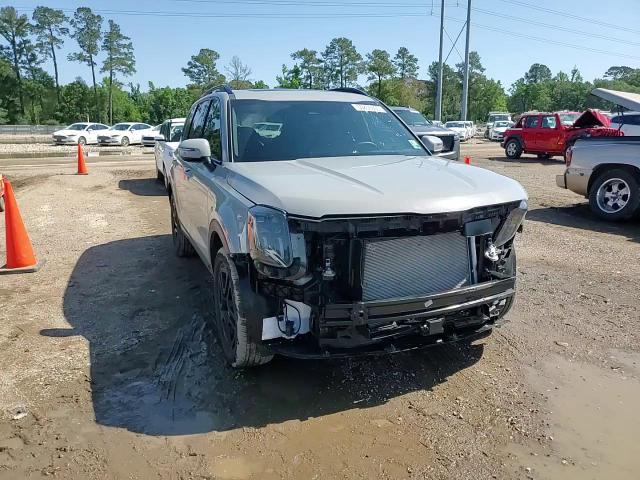 2025 Kia Telluride Ex VIN: 5XYP3DGC2SG612002 Lot: 55855605