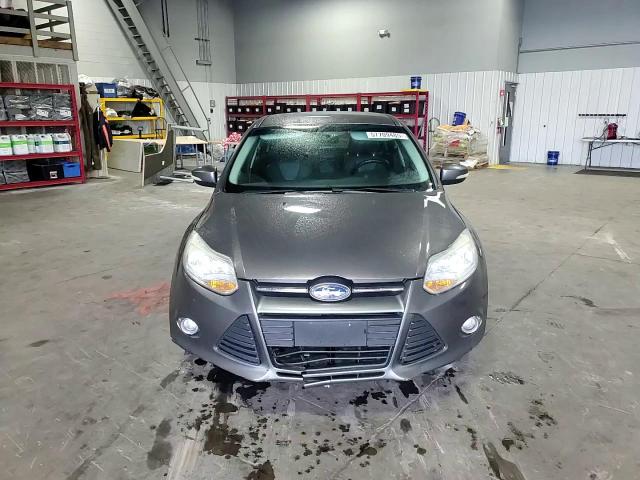 2014 Ford Focus Se VIN: 1FADP3F24EL102307 Lot: 57709485