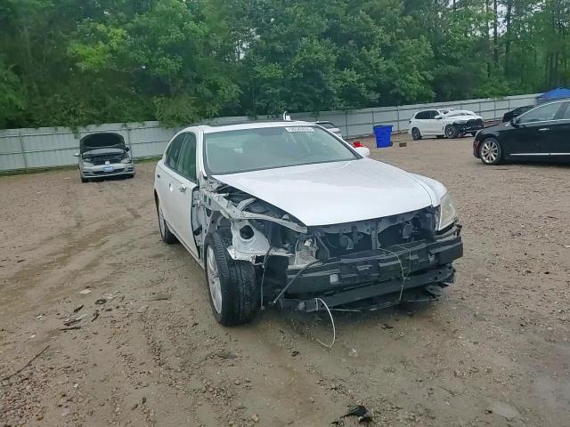 2007 Lexus Ls 460 VIN: JTHBL46F075042974 Lot: 56526835