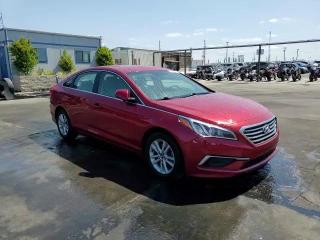 2016 Hyundai Sonata Se VIN: 5NPE24AF6GH290994 Lot: 57203923