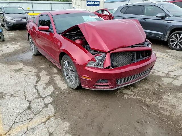 2013 Ford Mustang VIN: 1ZVBP8AM4D5220137 Lot: 56624054