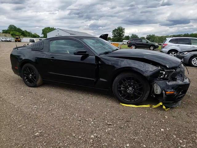 2014 Ford Mustang VIN: 1ZVBP8AM8E5325796 Lot: 58318144