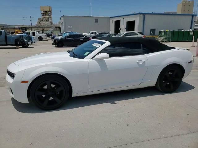 2011 Chevrolet Camaro Lt VIN: 2G1FC3DD6B9197547 Lot: 60339854