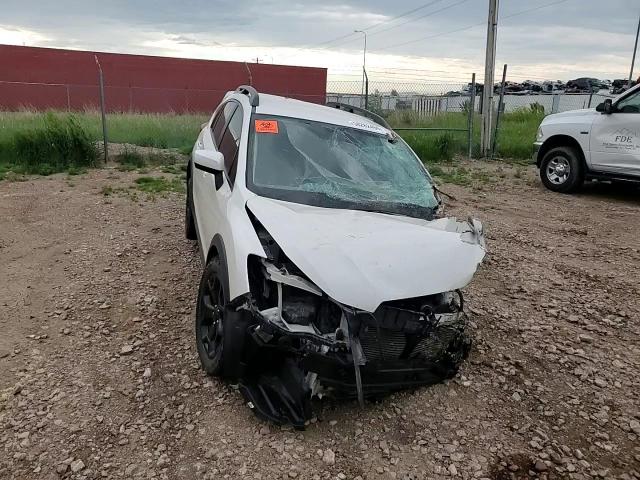 2015 Subaru Xv Crosstrek 2.0 Premium VIN: JF2GPACC2FH329543 Lot: 58282494