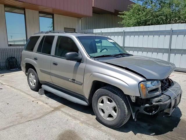 2003 Chevrolet Trailblazer VIN: 1GNDT13S132292690 Lot: 67684734