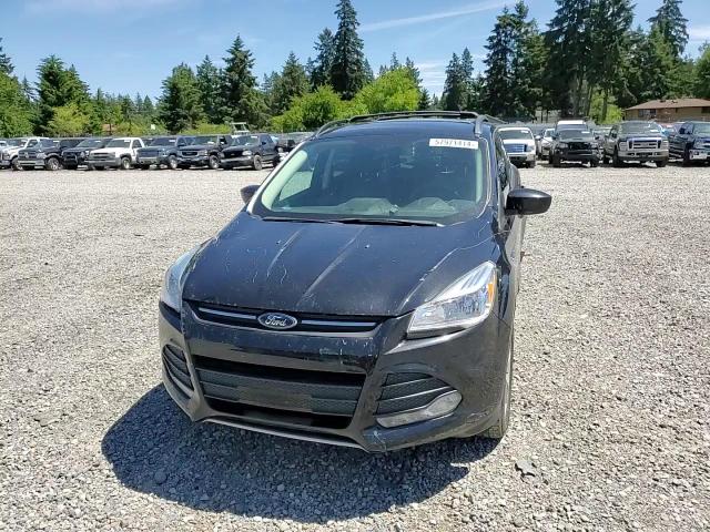 2014 Ford Escape Se VIN: 1FMCU0G90EUA22873 Lot: 57971414