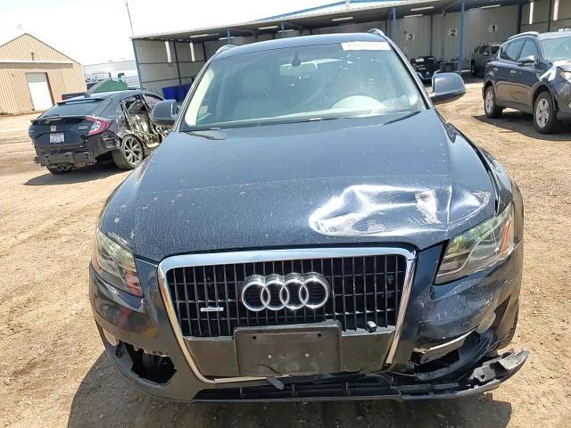 2010 Audi Q5 Premium Plus VIN: WA1LKAFP7AA029020 Lot: 62609495