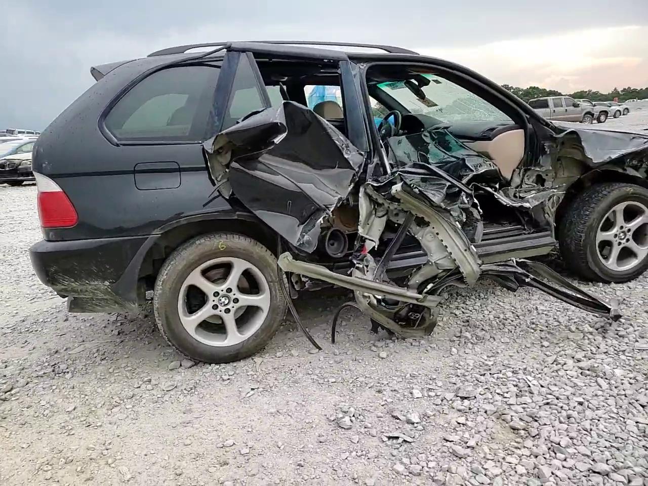 Фото: 5UXFA535X3LV97087