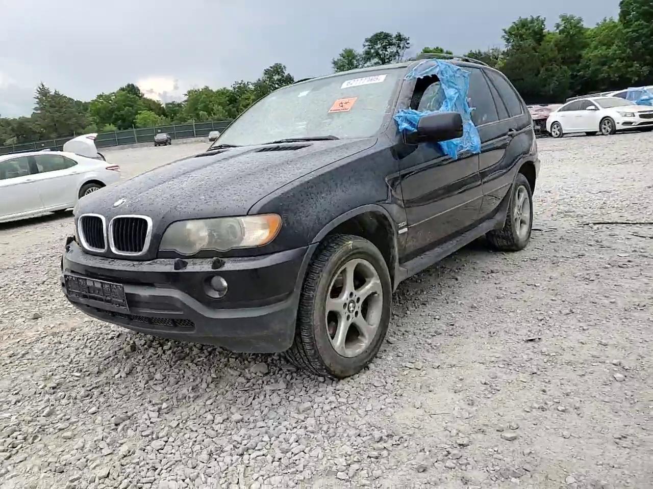 Фото: 5UXFA535X3LV97087