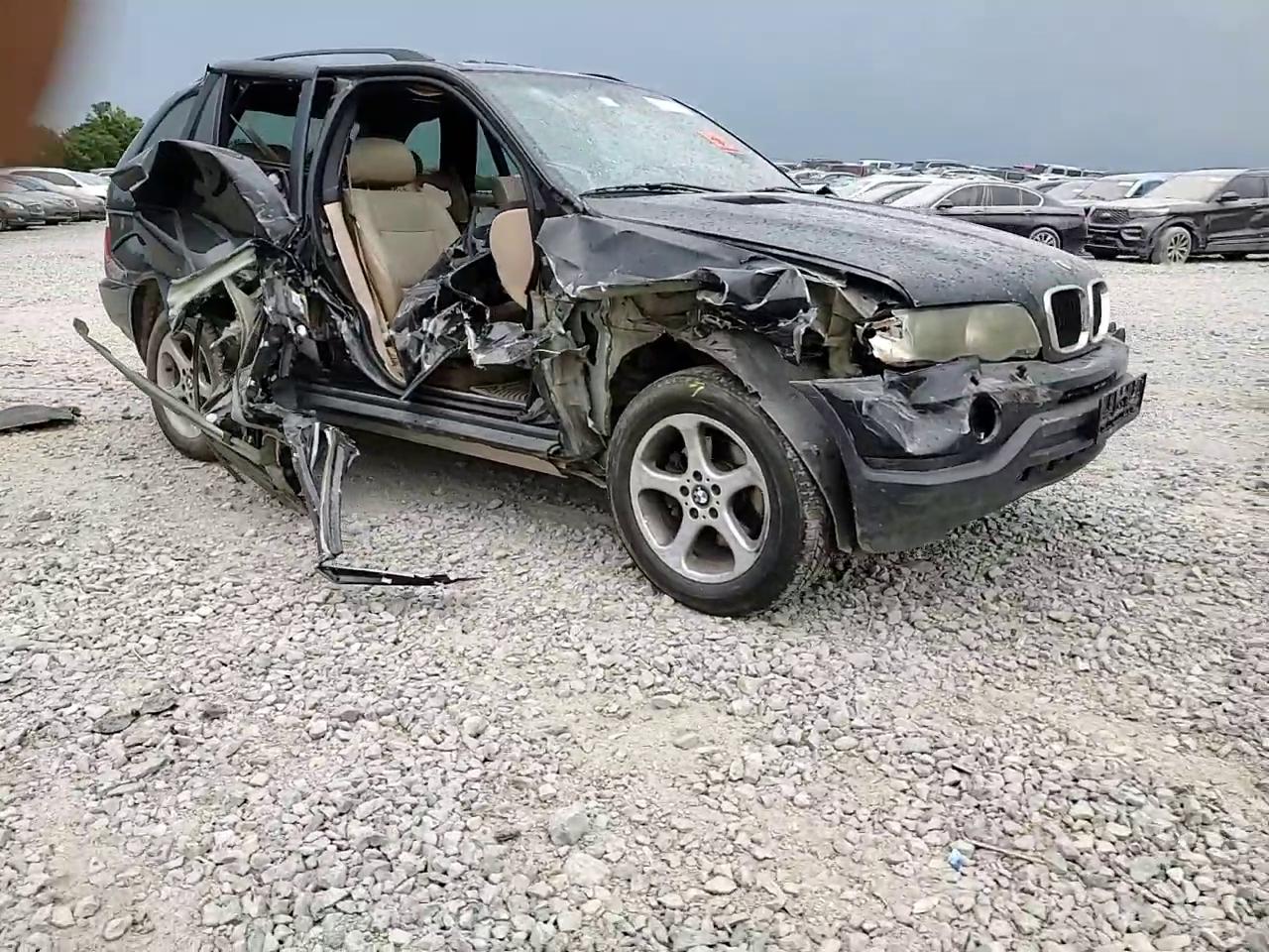 Фото: 5UXFA535X3LV97087