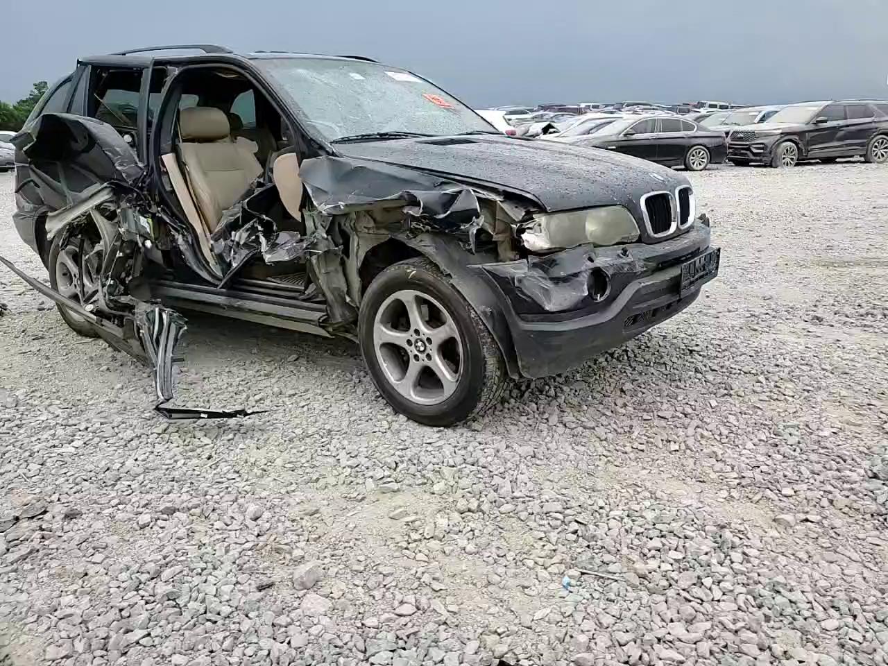 Фото: 5UXFA535X3LV97087