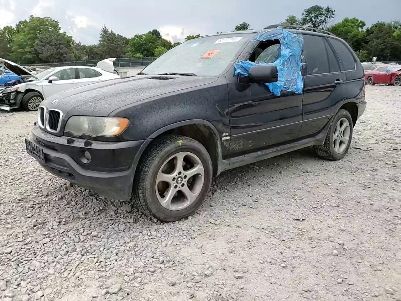 Фото: 5UXFA535X3LV97087