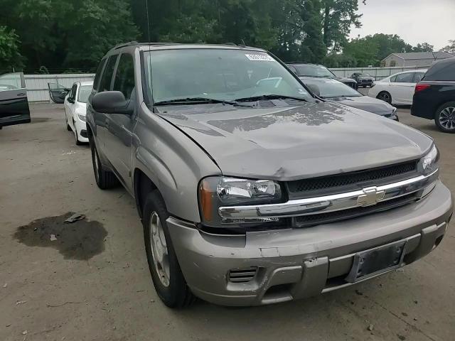 2007 Chevrolet Trailblazer Ls VIN: 1GNDT13S672249341 Lot: 63013375