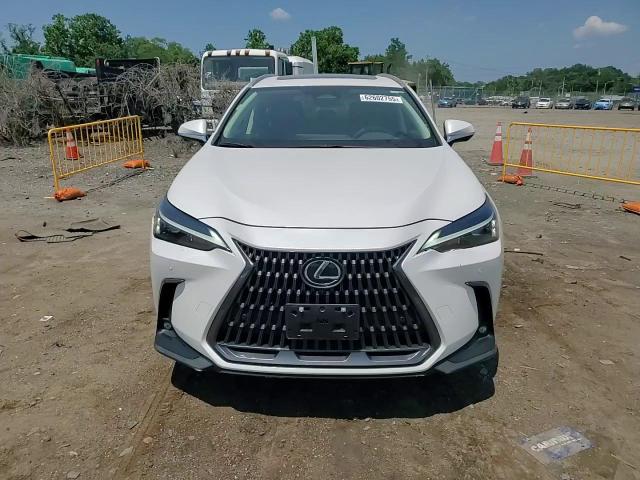 2024 Lexus Nx 350 Premium VIN: 2T2GGCEZ0RC056702 Lot: 62602755