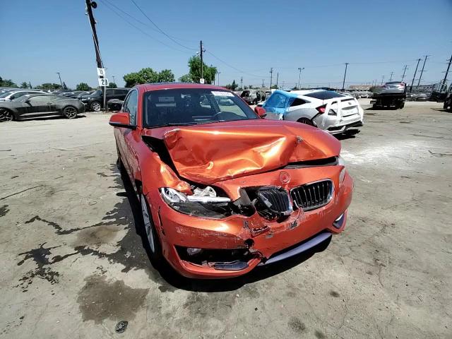 2016 BMW 228 Xi Sulev VIN: WBA1G9C54GVX97052 Lot: 61160395