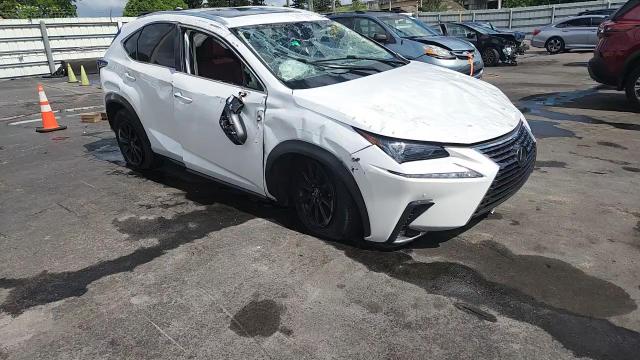 2020 Lexus Nx 300 VIN: JTJDARBZ5L5000367 Lot: 61573165
