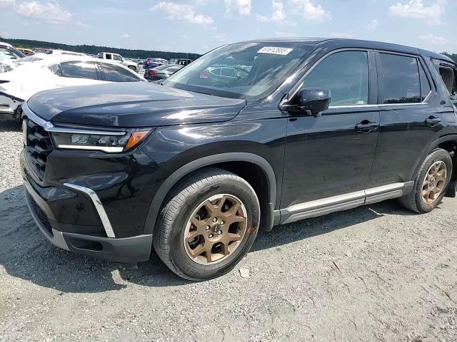 2024 Honda Pilot Exl VIN: 5FNYG2H40RB011287 Lot: 61612885