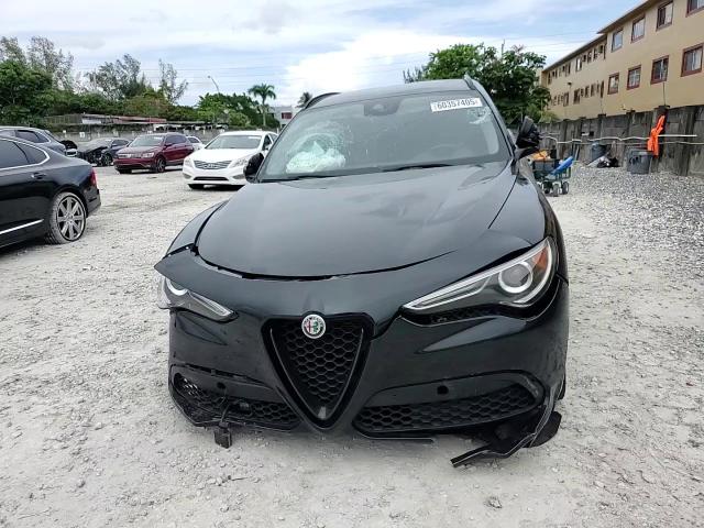 2020 Alfa Romeo Stelvio VIN: ZASPAJAN1L7C86102 Lot: 60357405