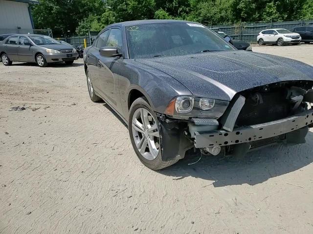 2014 Dodge Charger R/T VIN: 2C3CDXDT5EH331842 Lot: 62457635