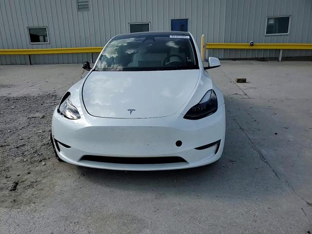 2023 Tesla Model Y VIN: 7SAYGDED3PF931544 Lot: 62425325