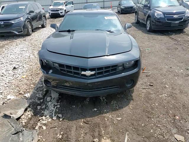 2013 Chevrolet Camaro Ls VIN: 2G1FA1E31D9242087 Lot: 60061635