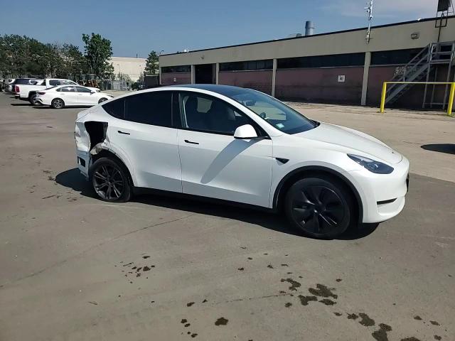 2024 Tesla Model Y VIN: 7SAYGDEDXRF210303 Lot: 62403785