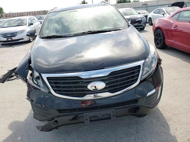 2013 Kia Sportage Ex VIN: KNDPC3A20D7509414 Lot: 62112665