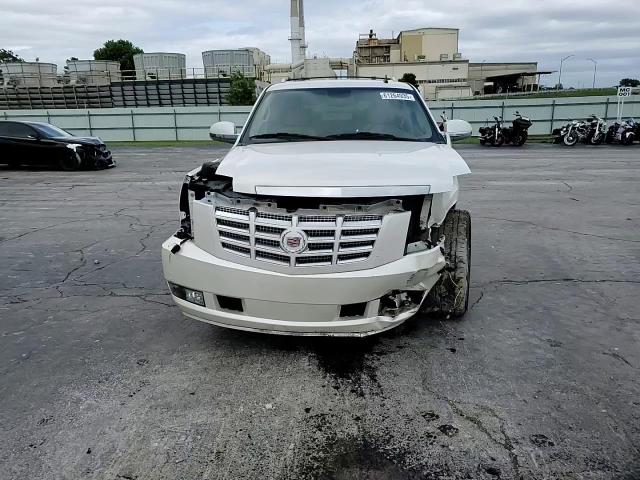 2010 Cadillac Escalade Premium VIN: 1GYUKCEF4AR235776 Lot: 61264935